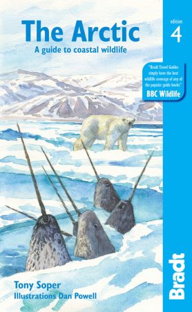 The Arctic: A Guide to Coastal Wildlife - Bradt