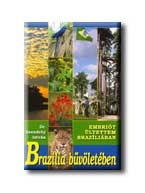 Image of Brazilia bűvöletében